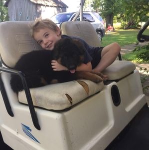 Meet your Posher, Cherie